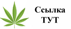 Купить наркотики в Вытегре